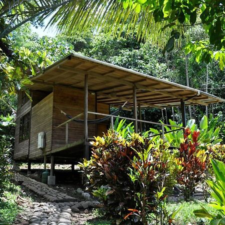 Huella Verde Rainforest Lodge Canelos ภายนอก รูปภาพ