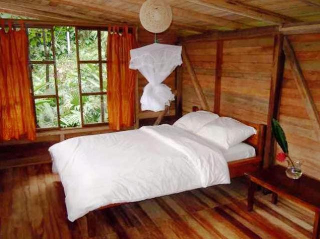 Huella Verde Rainforest Lodge Canelos ห้อง รูปภาพ