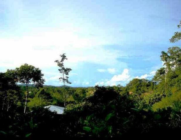 Huella Verde Rainforest Lodge Canelos ภายนอก รูปภาพ