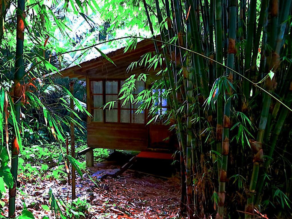 Huella Verde Rainforest Lodge Canelos ห้อง รูปภาพ
