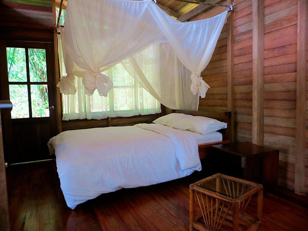 Huella Verde Rainforest Lodge Canelos ห้อง รูปภาพ