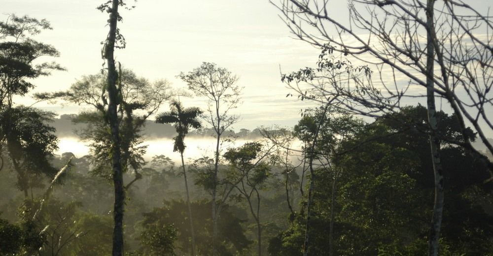 Huella Verde Rainforest Lodge Canelos ภายนอก รูปภาพ