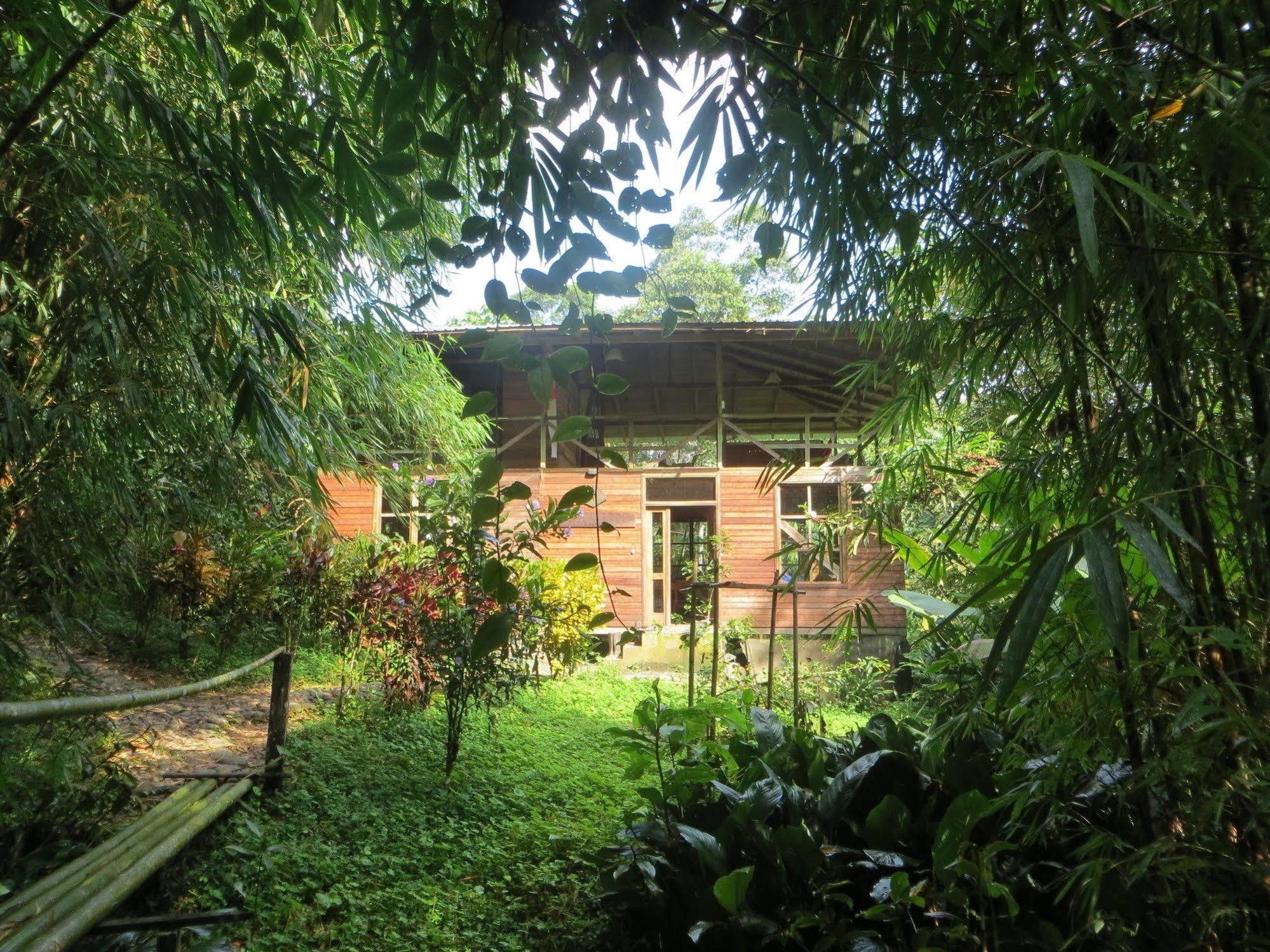 Huella Verde Rainforest Lodge Canelos ภายนอก รูปภาพ