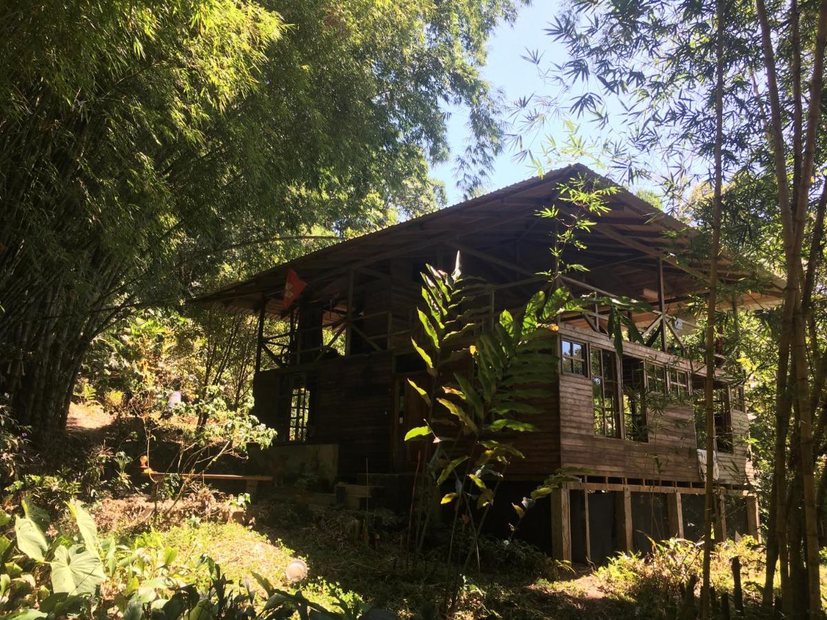 Huella Verde Rainforest Lodge Canelos ภายนอก รูปภาพ