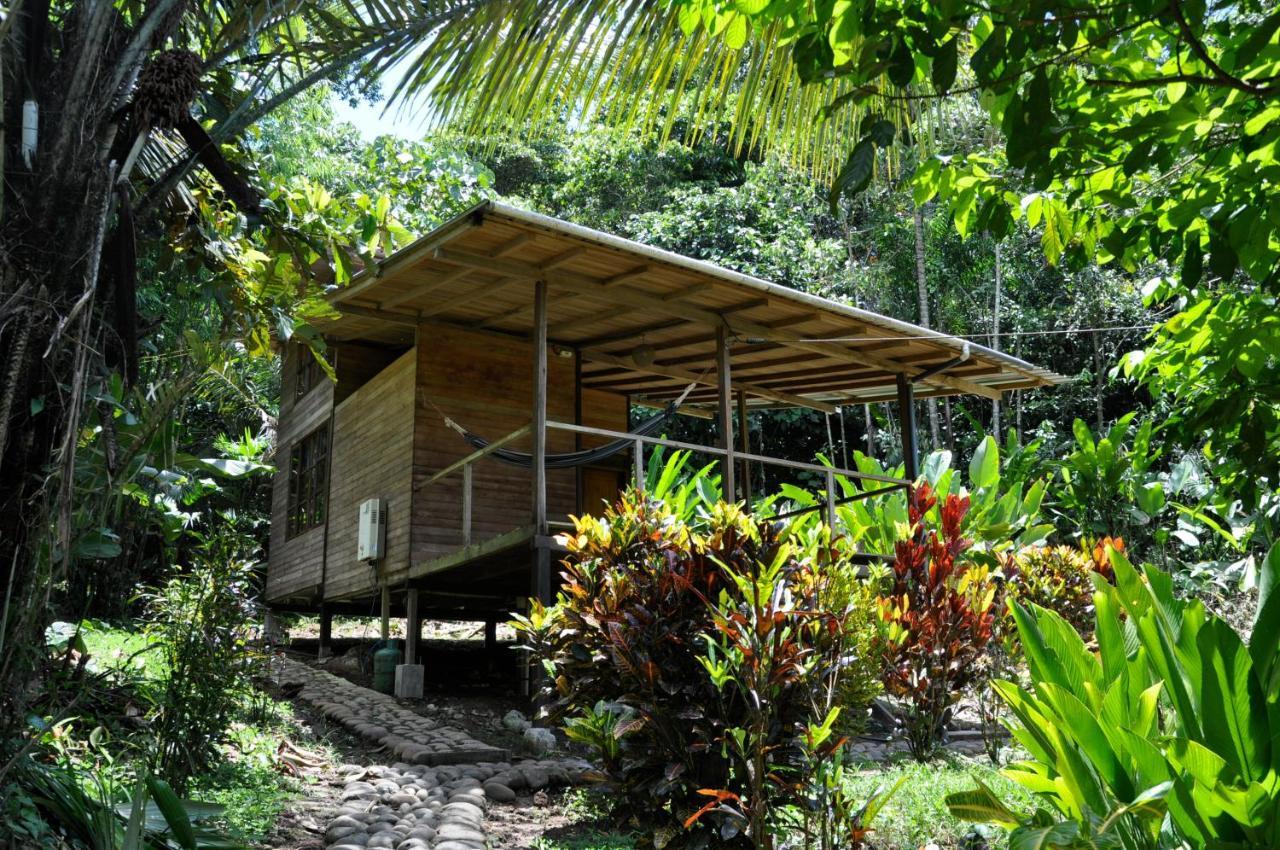 Huella Verde Rainforest Lodge Canelos ภายนอก รูปภาพ